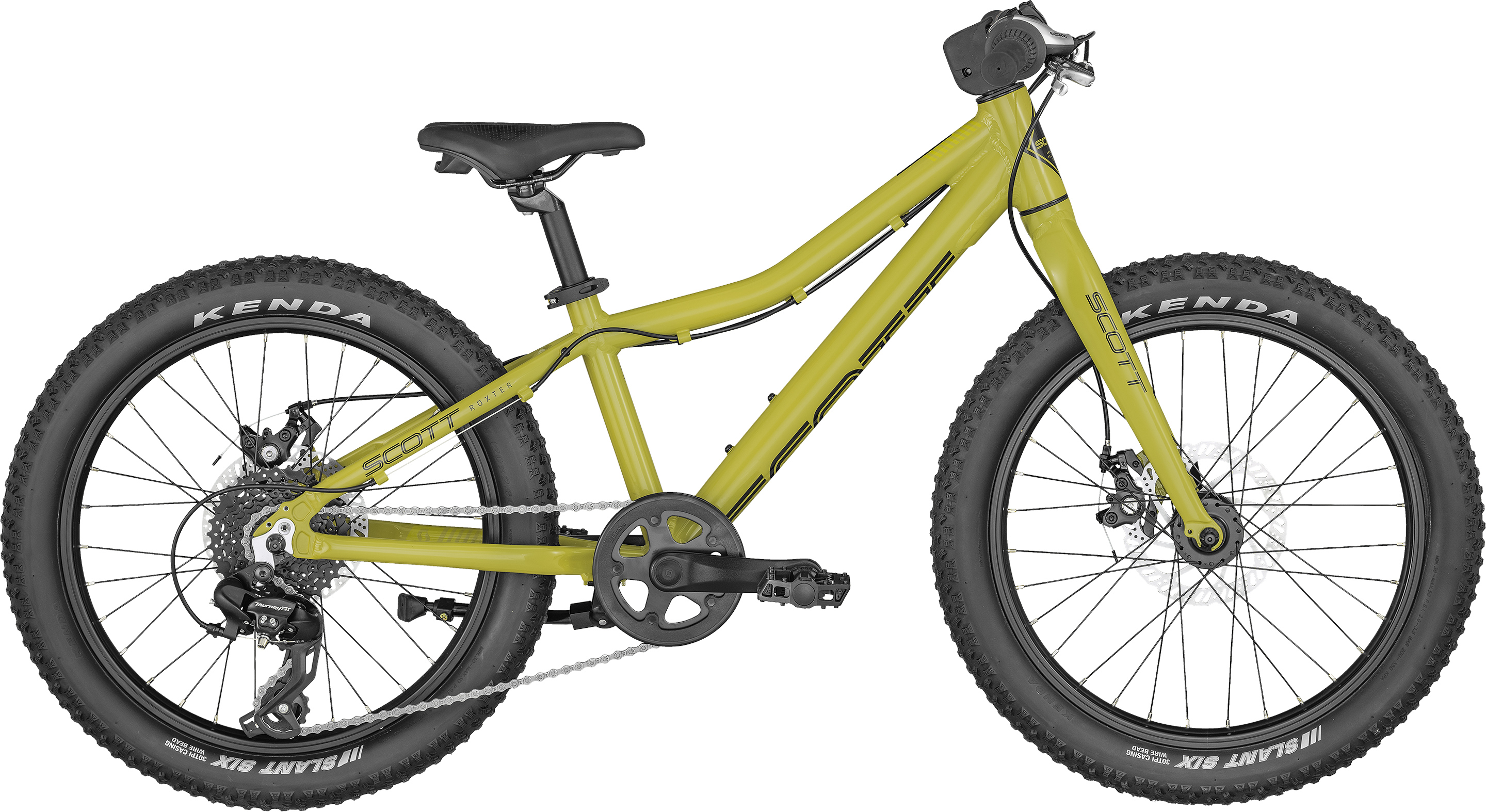 Roxter 20 green | Culture Vélo